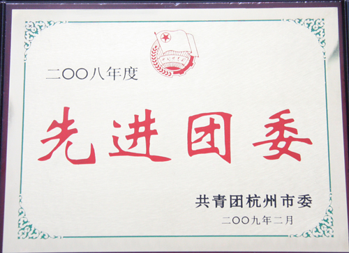 U乐国际团委被杭州市团委授予“2008年度杭州市先进团委”