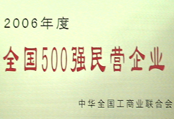 2006度全国500强民营企业